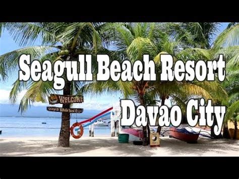 seagull beach resort entrance fee|DAVAO SEAGULL RESORTS .